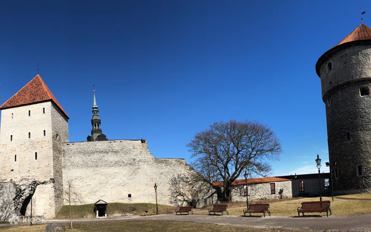 Tallinn Guided Day Tour from Helsinki with Ferry Crossing 3