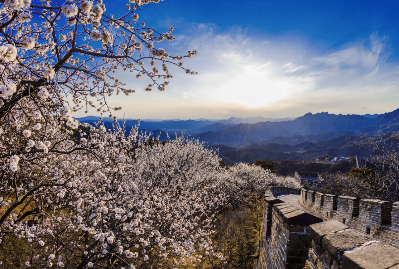 Mutianyu Great Wall Round-trip by ZANBUS 5