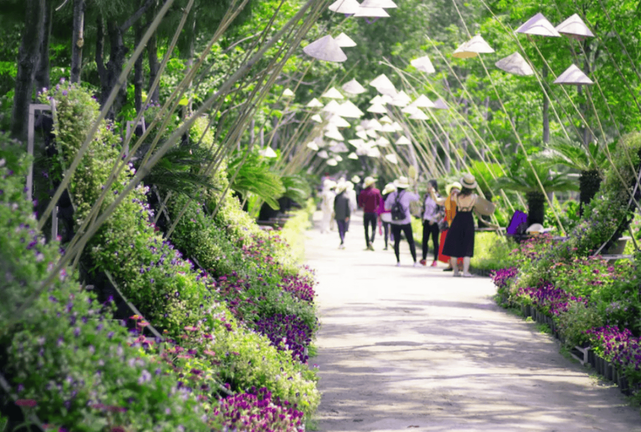 芽扶湾一日游 5