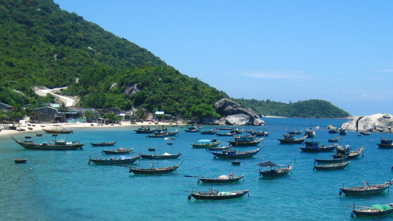 Cham Islands Day Tour from Da Nang