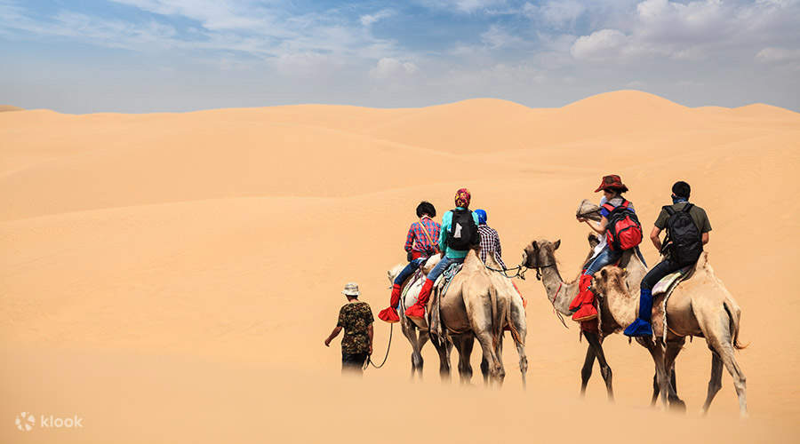 Laimi Desert Safari Tours in Dubai - Morning, Evening and Overnight - Laimi