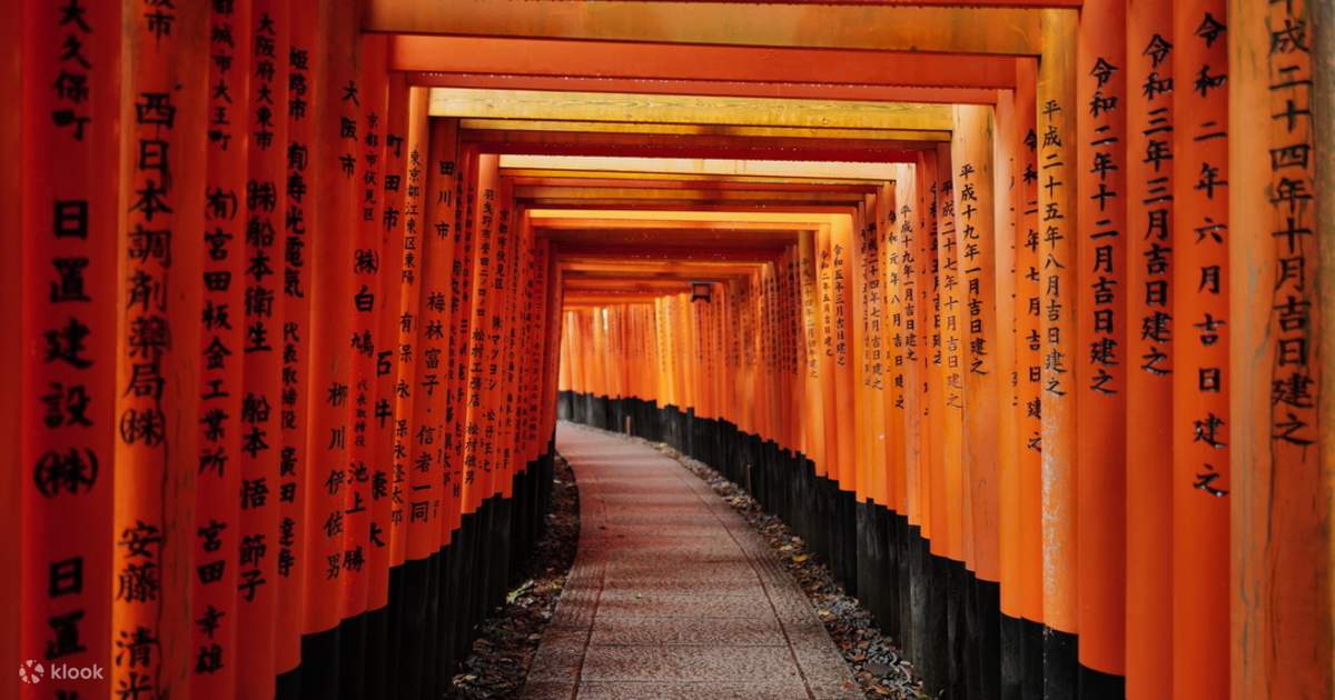 Kyoto Early Morning Tour 2