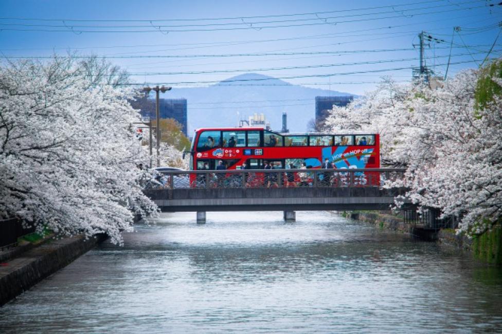 Kyoto Sightseeing SKY HOP BUS | Hop-on and Hop-off | Kyoto, Japan 5