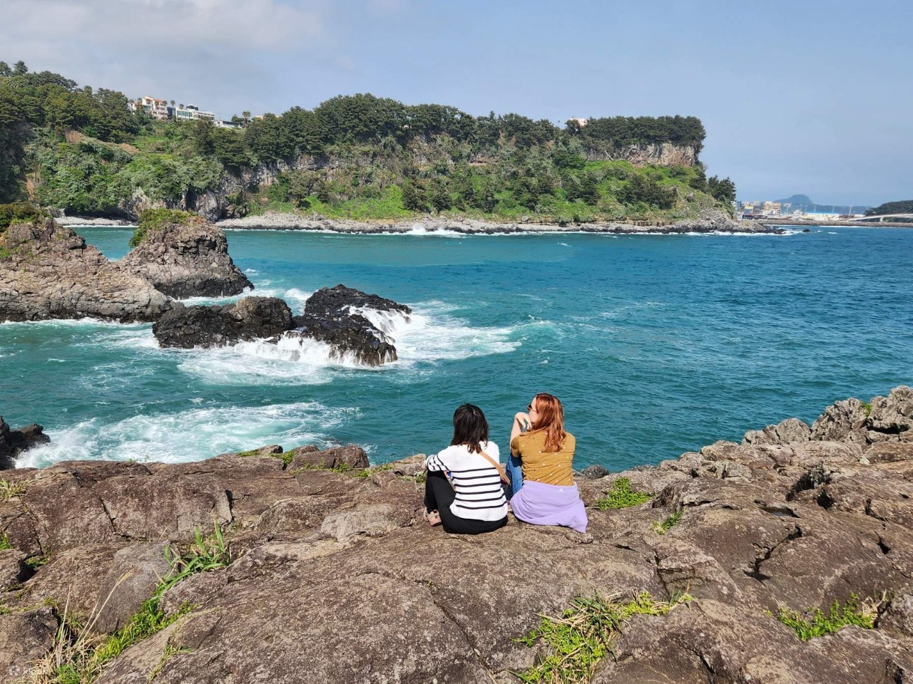 Jeju's Southern Euphoria Tour With Mt.Halla, Green tea, Waterfall 5