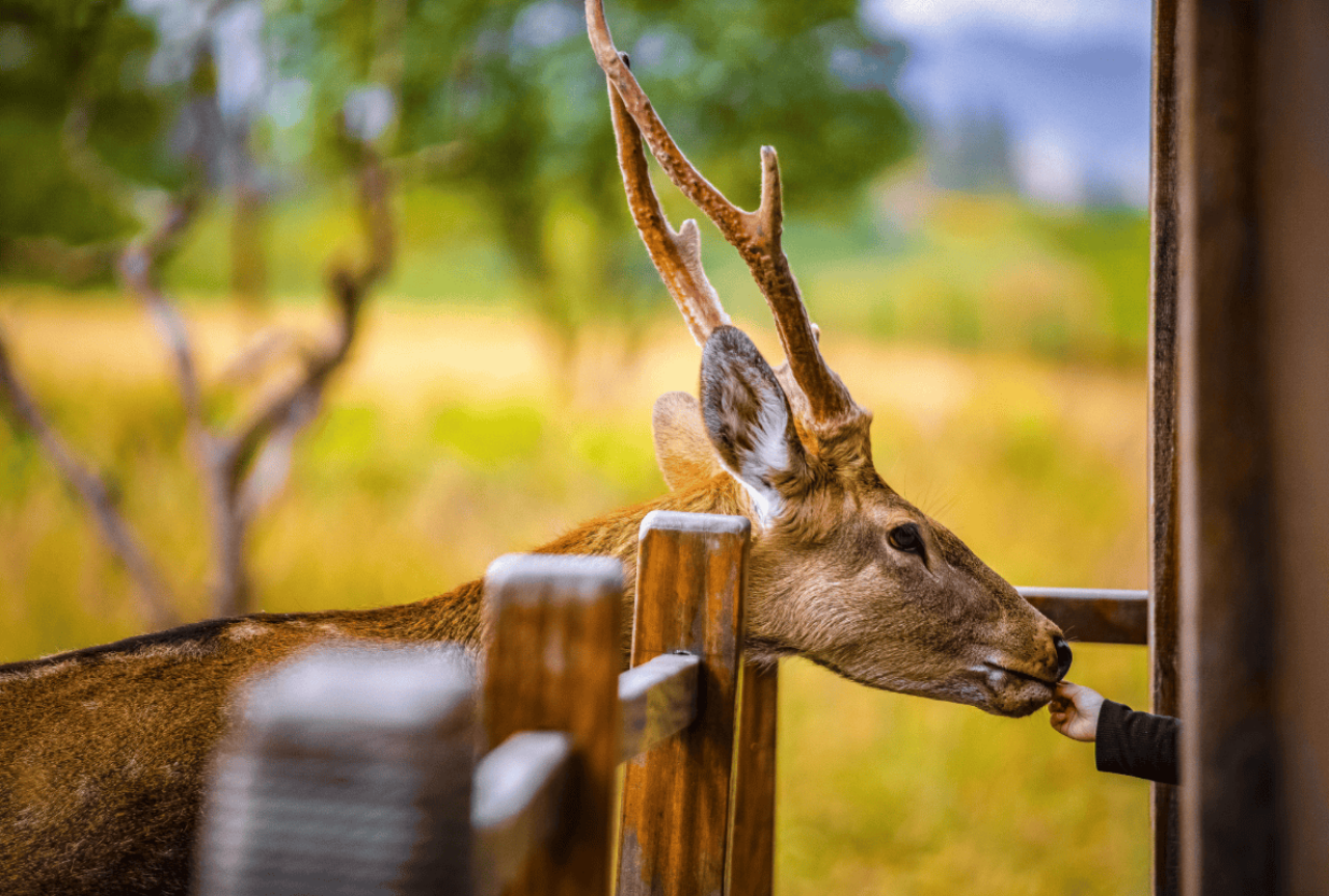 Liangzhu City Archaeological Ruins Private Mandarin or English Guided Tour (Ticket Included) 2