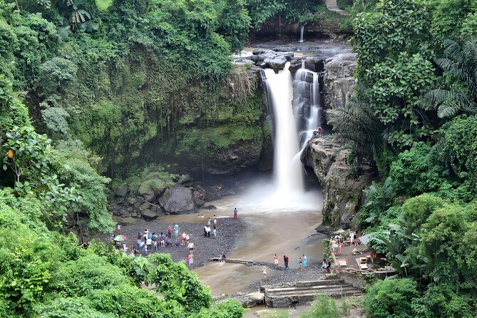 Swing and Waterfall Full Day Tour in Ubud 4