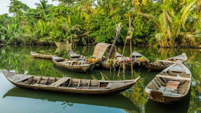Mekong Delta Day Tour: My Tho, Vinh Trang Pagoda & Thoi Son Island from Ho Chi Minh City [English Guide | No Shopping | Hotel Pick-up | Lunch Included]