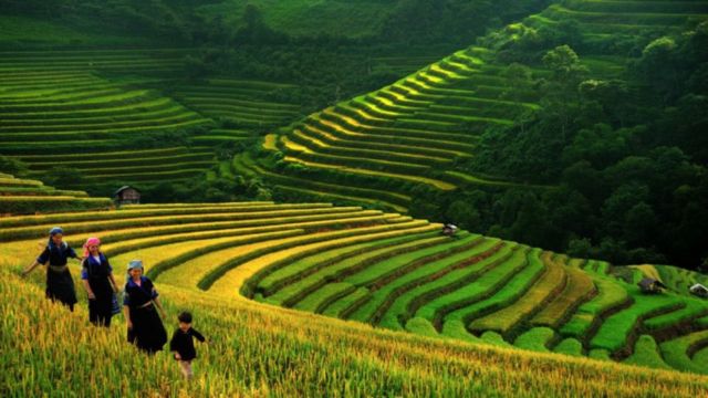 3D2N Sapa Tour by Luxury Dcar from Hanoi – Cat Cat Village, Fansipan & Ham Rong 3