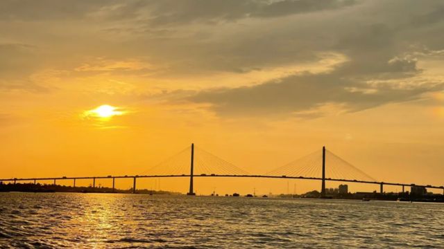 Mekong Delta Day Tour from Ho Chi Minh City with Luxury Limousine Options 5