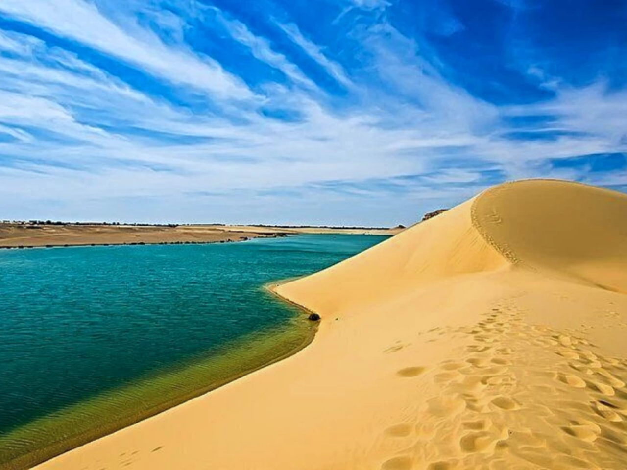 All inclusive- Day Tour to El Fayoum from Cairo