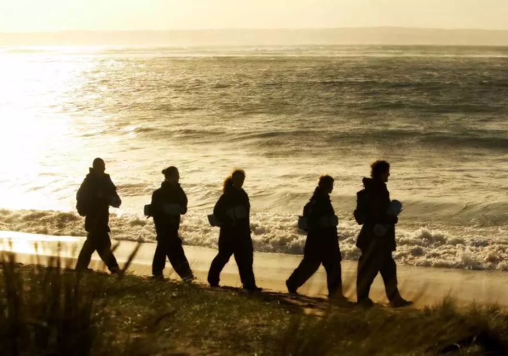 Phillip Island Wildlife Park & Penguin Parade Day Tour from Melbourne | Victoria