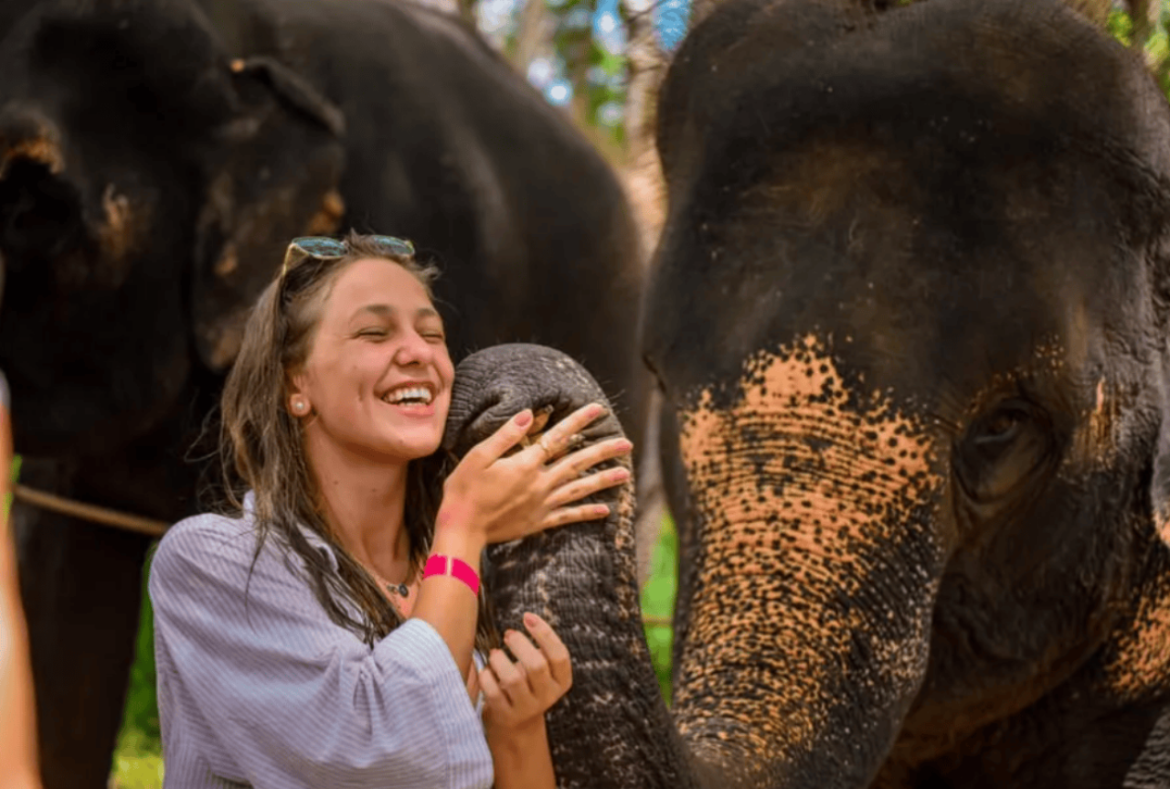 Elephant Experience on Phuket Beach by Lily Elephant Camp 3