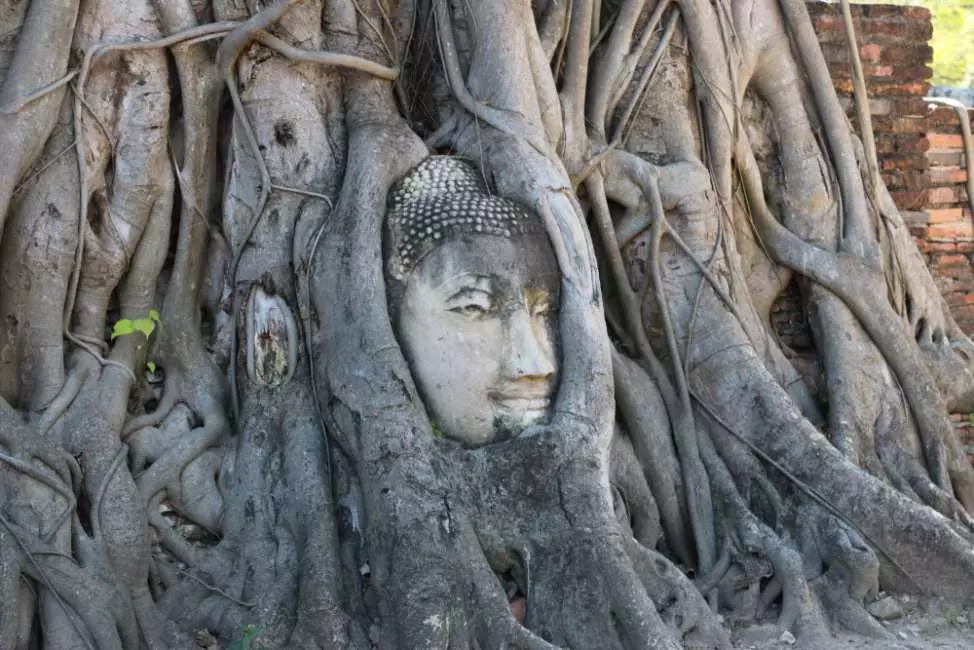 Ayutthaya Must-Visit Tour: Summer Palace, Floating Market & Temples 4