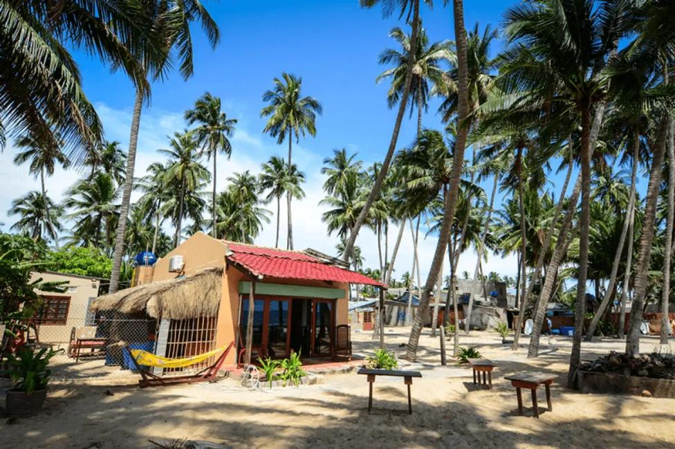 Day Tour | Mui Ne Desert Full Day Tour from Ho Chi Minh City:Sand Dunes, Fairy Stream, Seafood Lunch, Free Hotel Pick-up from Saigon District 1 & 3 | Vietnam 5