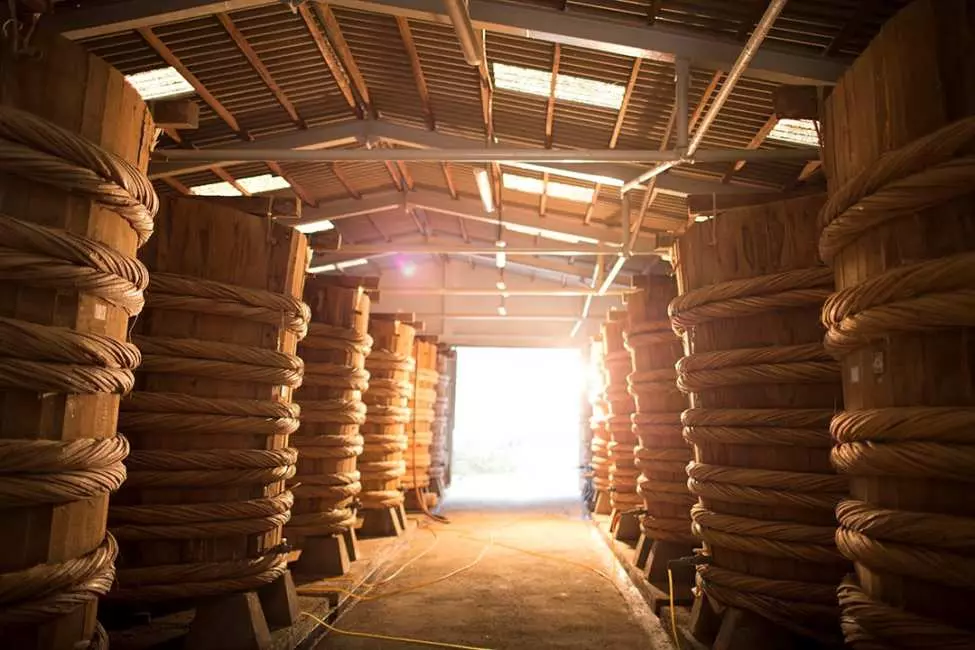 Sightseeing to the South of Phu Quoc: Ho Quoc Pagoda & Pepper Farm