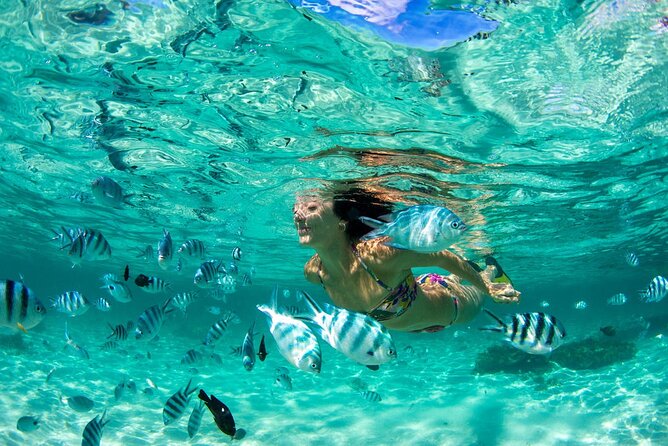 Phuket Coral Island and Racha Island Snorkeling Experience | Thailand