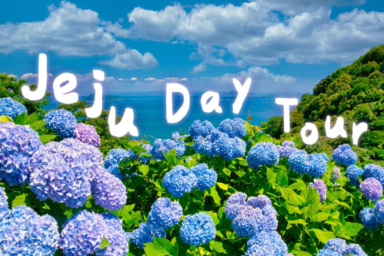Jeju Eastern/ Western/ Hydrangea/ Seongsan Ilchulbong/ Private Tour