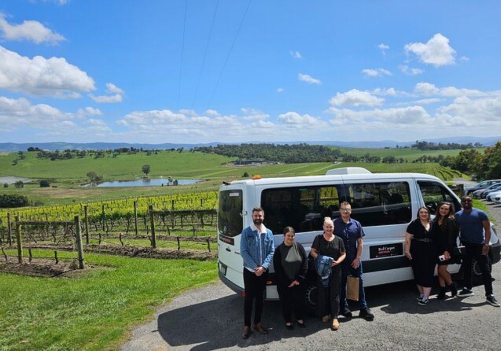 Yarra Valley Wine, Gin, Cheese/Fruit & Chocolate Tour from Melbourne