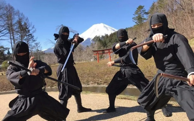 Mt.Fuji and Hakone 1 Day Bus Tour from Tokyo 5