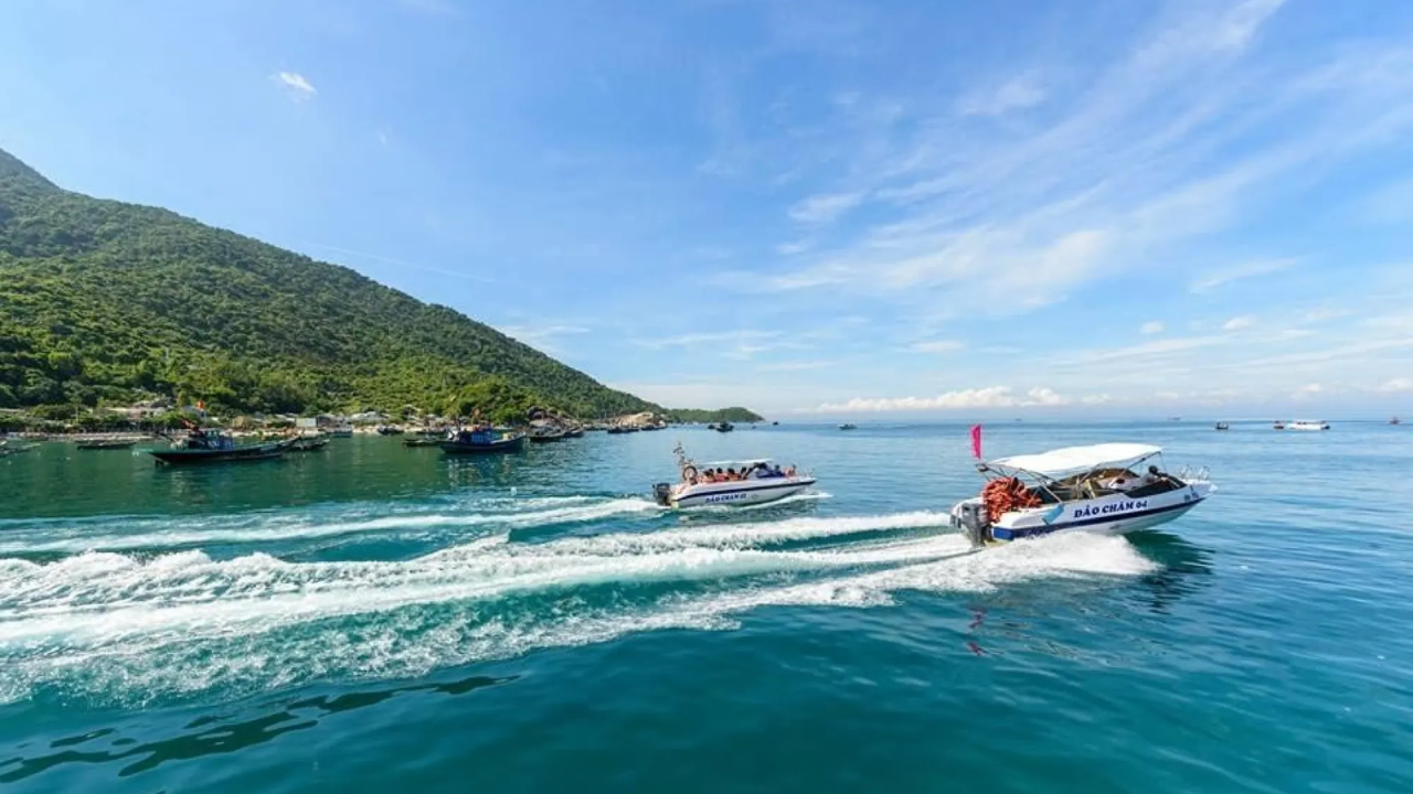 Cham Islands Day Tour from Da Nang 2
