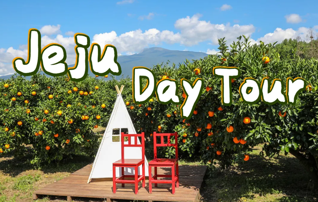 Jeju Eastern/ Western/ Hydrangea/ Seongsan Ilchulbong/ Private Tour