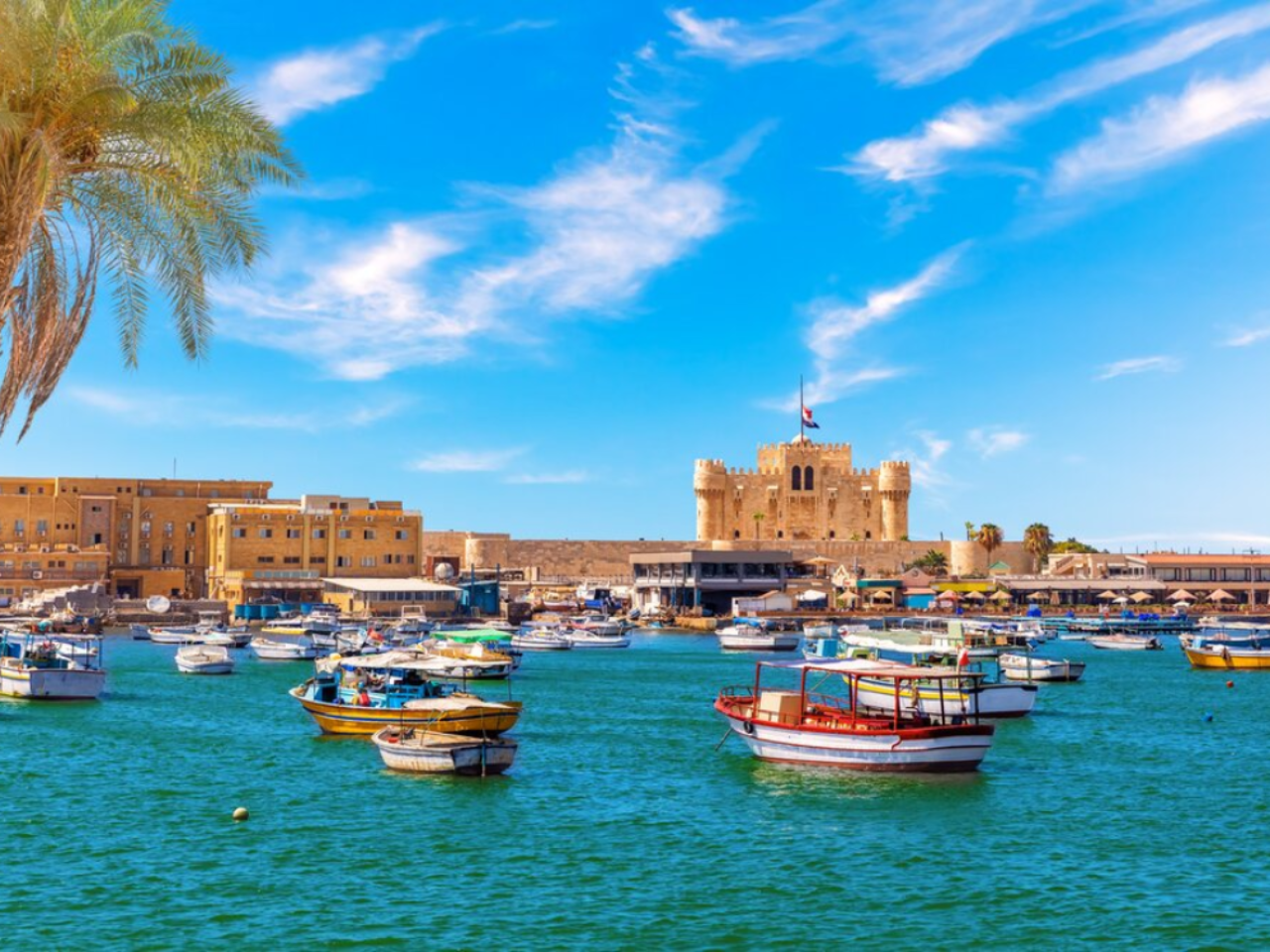 Private Day Trip to Alexandria from Cairo With lunch 2