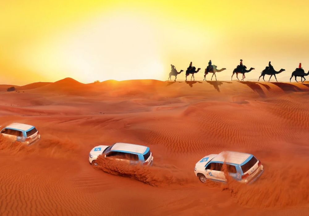 Premium Morning Desert Safari, ATV Ride, Sandboard & Camel Ride in Dubai | UAE
