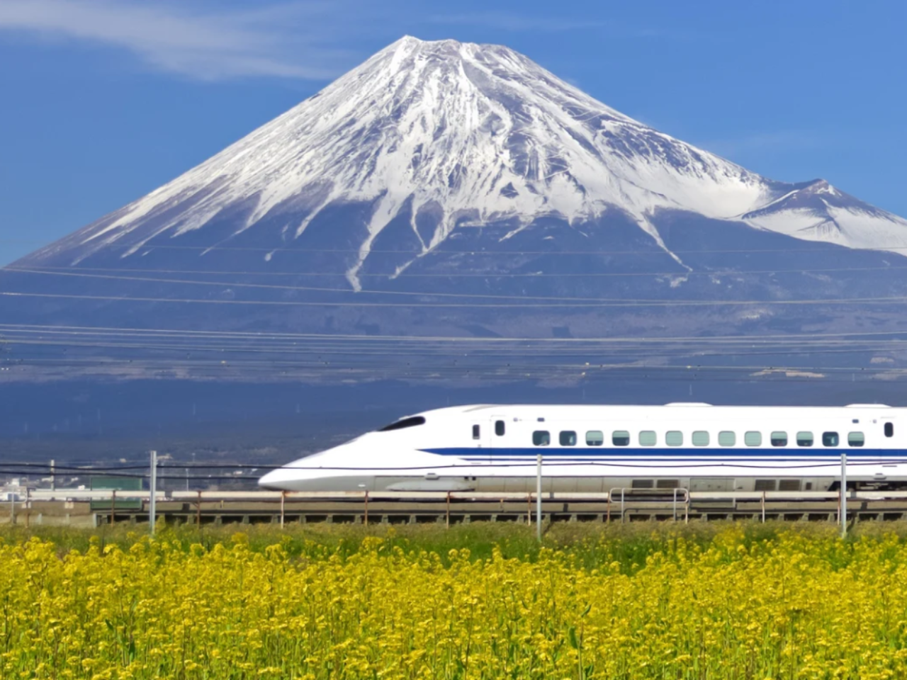Mt. Fuji & Hakone Day Tour from Tokyo
