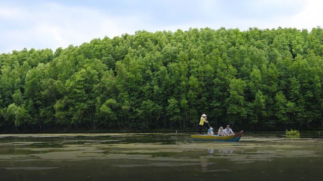 Can Gio Mangrove Biosphere Reserve by Luxury Speedboat 5