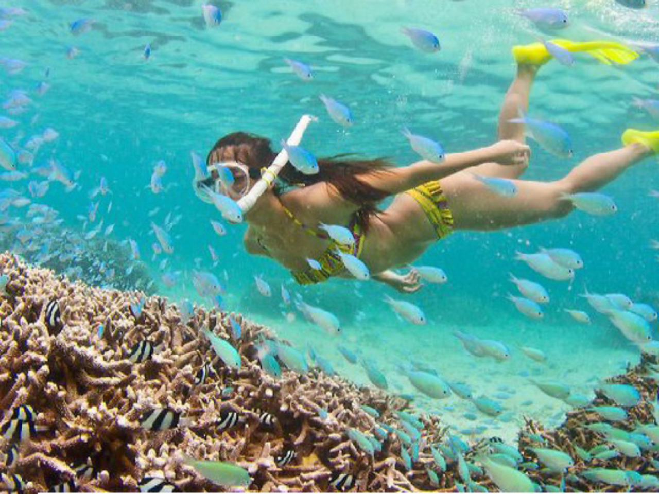 Fantastic Tour: Snorkeling - Seafood Lunch - Mini Beach | Nha Trang