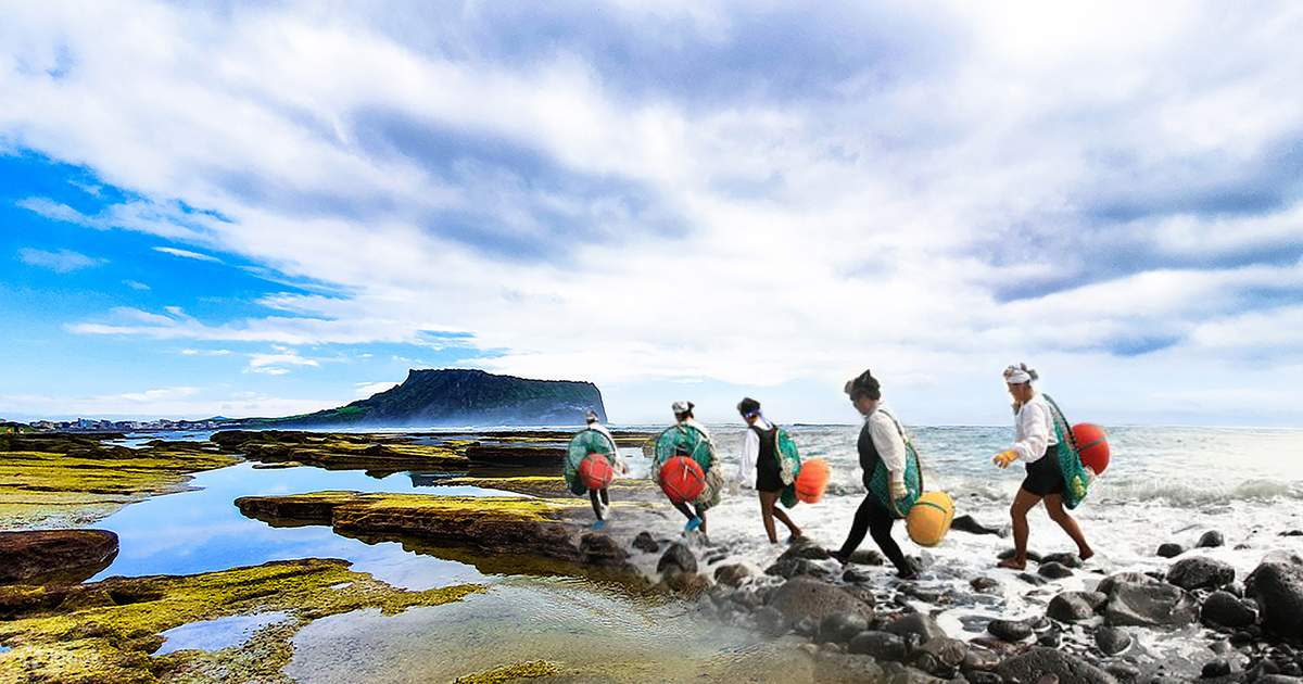 Jeju UNESCO Original Day Tour - Experience True Premium 2