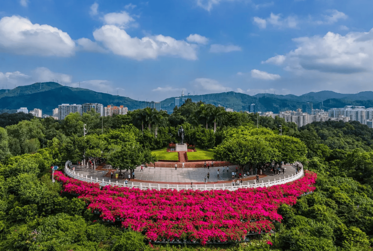 Shenzhen 1-Day Tour: Ping An Finance Centre + Lian Hua Shan Park + Gankeng Hakka Town + Dafen Oil Painting Village 3