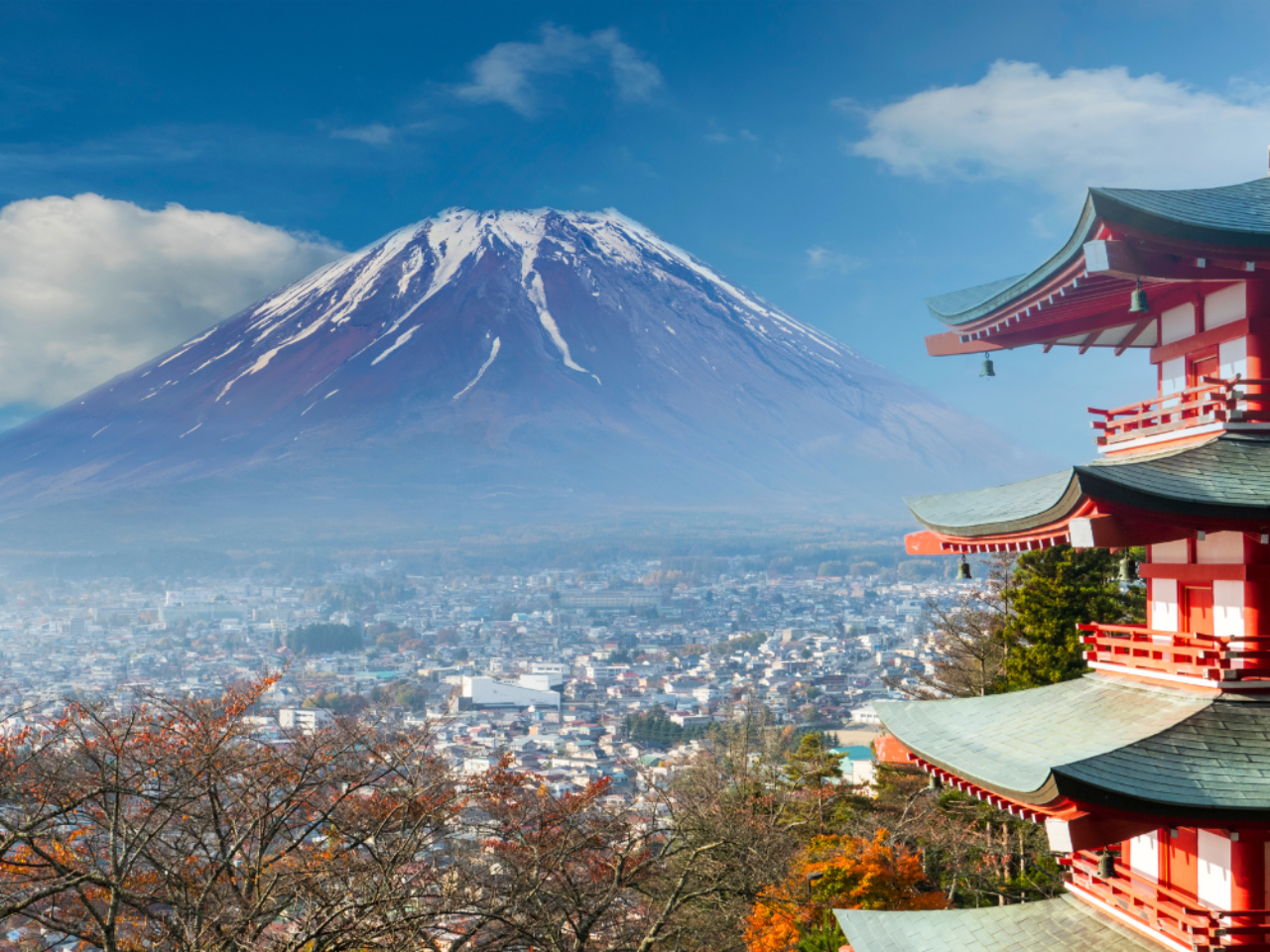 Mount Fuji & Oshino Hakkai Sightseeing or Premium Sake Day Tour 2