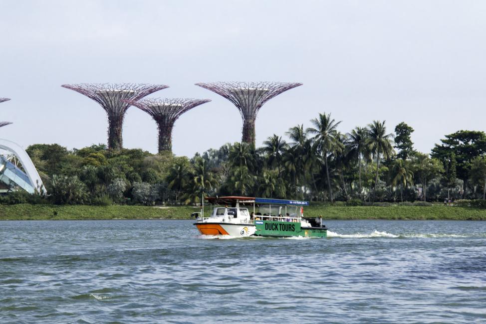 The Original DUCKtours Ticket | Singapore 2