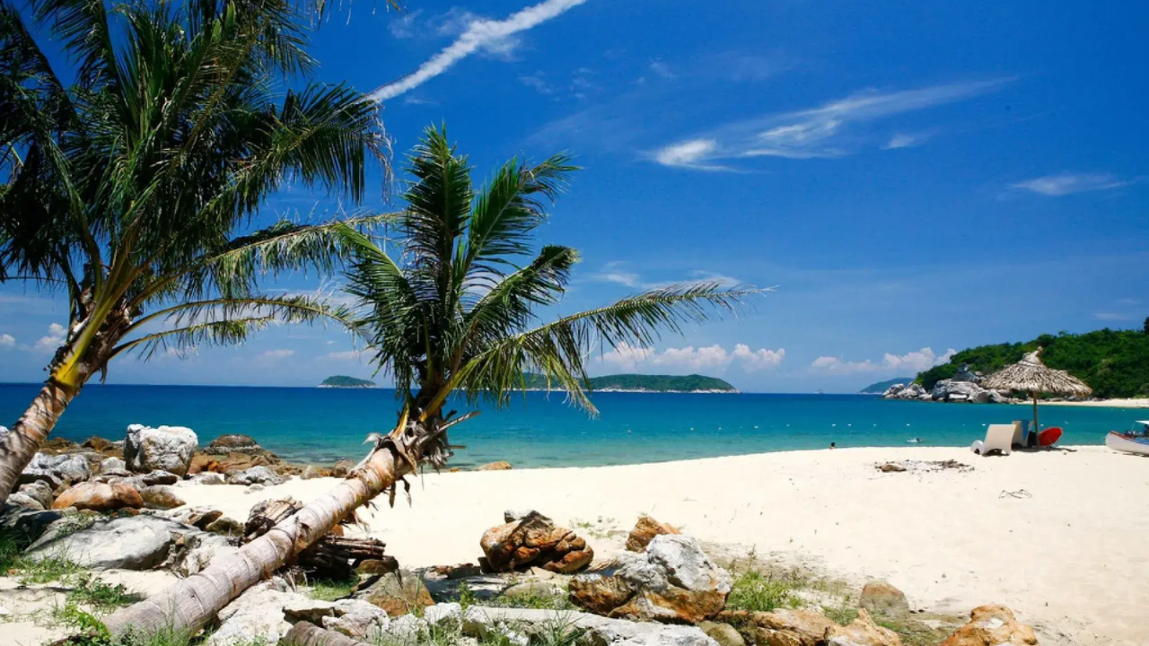 Cham Islands Day Tour from Da Nang 5