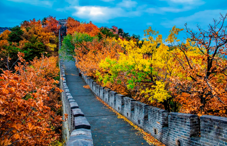 Beijing Mutianyu Great Wall Day Tour 4