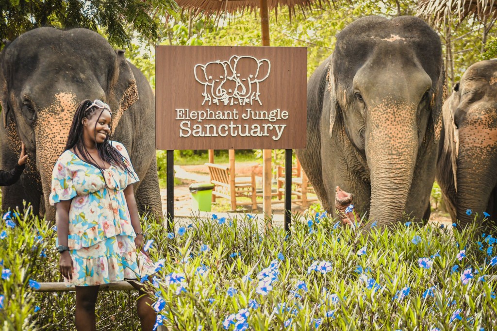 Elephant Jungle Sanctuary Phuket Experience