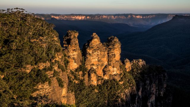 Sydney Suburb Day Tour | Blue Mountains & Featherdale Wildlife Park | City Transfer Included 2