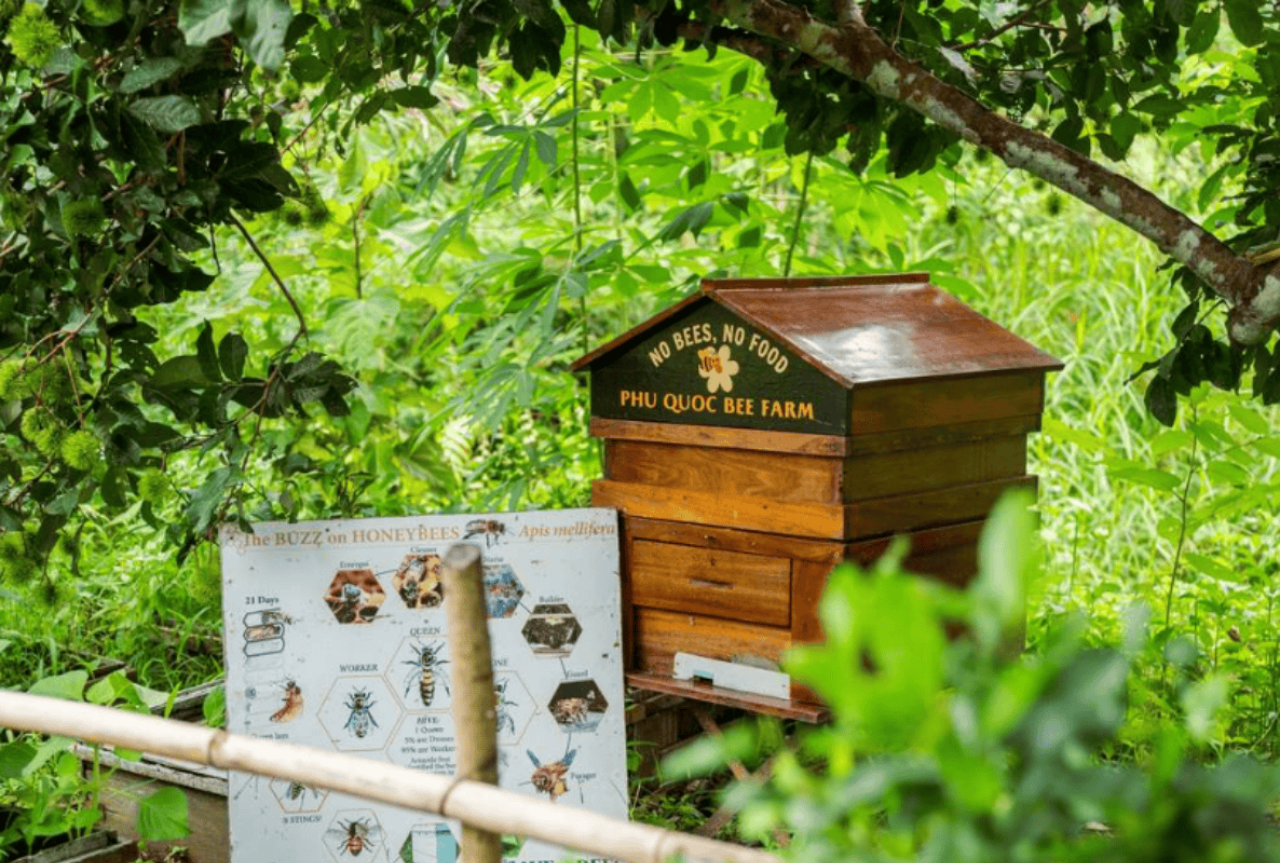 Bee Farm & Cua Can River Basket Boat Day Tour in Phu Quoc 5