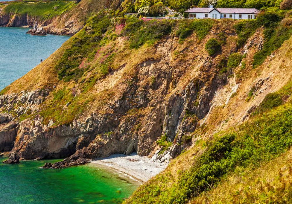 Howth Coastal Boat Tour in Dublin 4