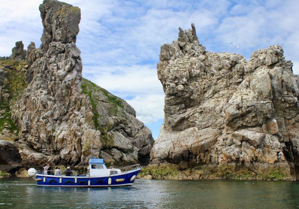 Howth Coastal Boat Tour in Dublin 2