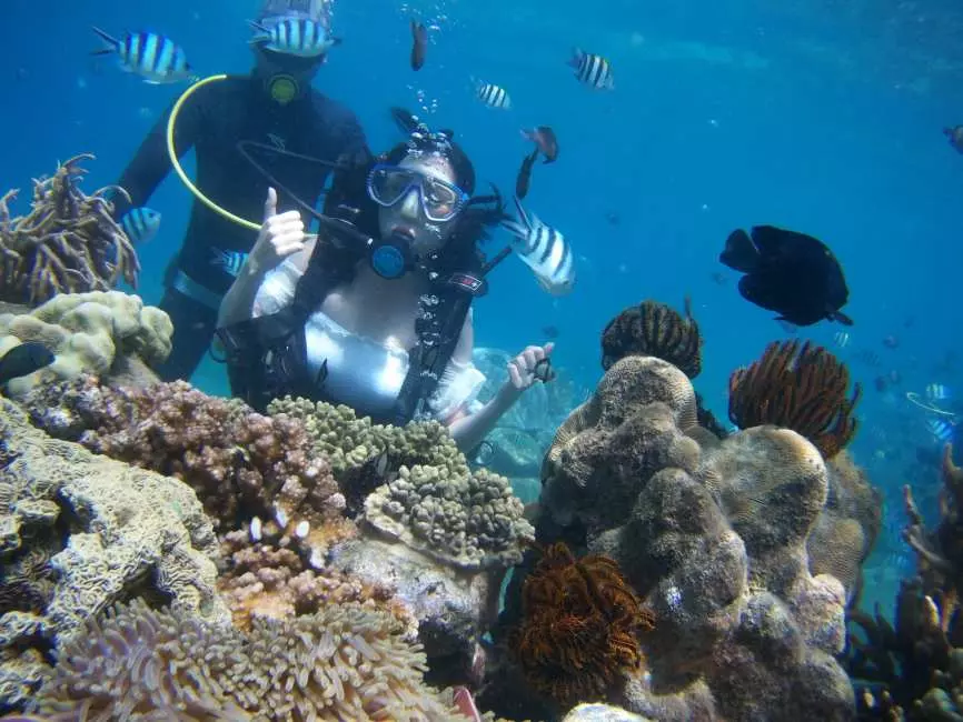 Southern Phu Quoc Scuba Diving Experience| Phu Quoc, VietNam 5