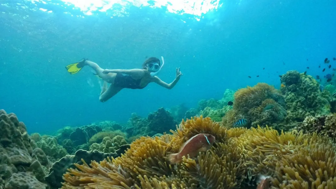 Small Group Snorkeling Trip by Speedboat To Discover Phu Quoc Coral Reefs