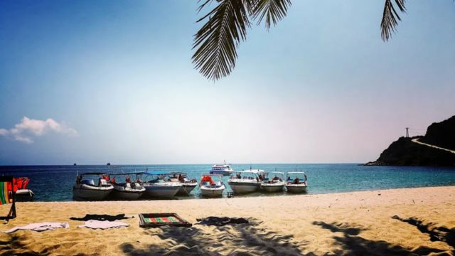 Cham Islands Day Tour from Hoi An 2