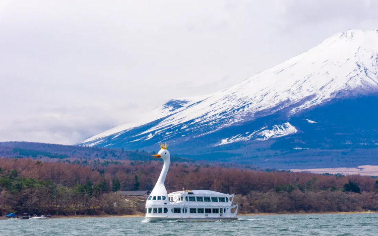 Mount Fuji & Oshino Hakkai Sightseeing or Premium Sake Day Tour