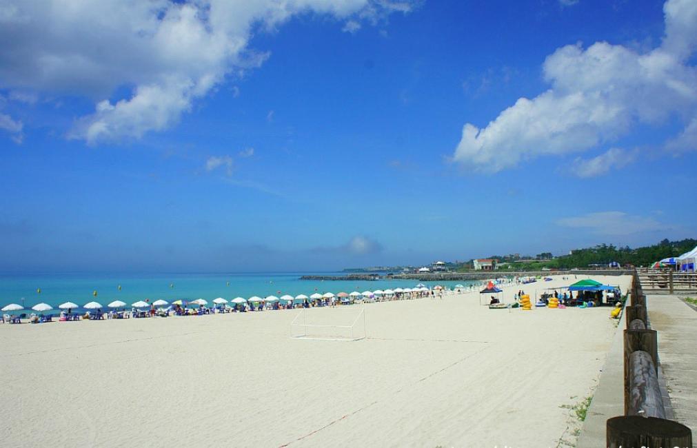 Jeju Western and Southern Sightseeing Day Tour | South Korea 4