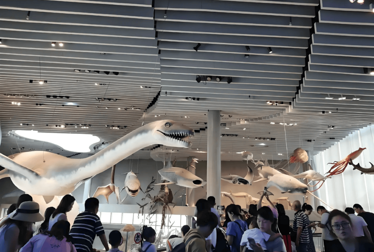 Shanghai Natural History Museum: Rare Specimens & Optional Bilingual Tours 4