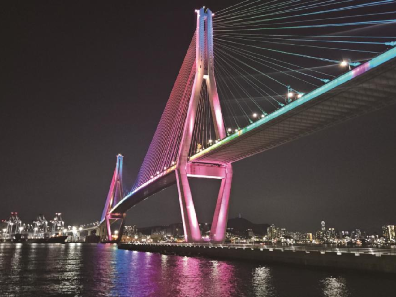 Busan Night Photography & Busan Foodie Walking Tour 4