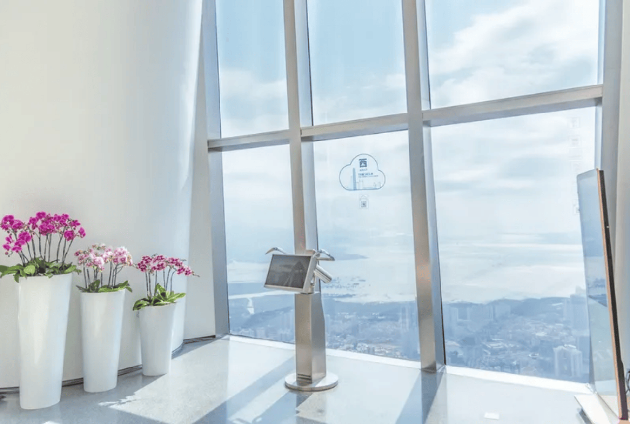 Shenzhen Private Day Tour: Ping An Center, Bay Area Ferris Wheel, Nantou Old Town, Zhongying Street 3