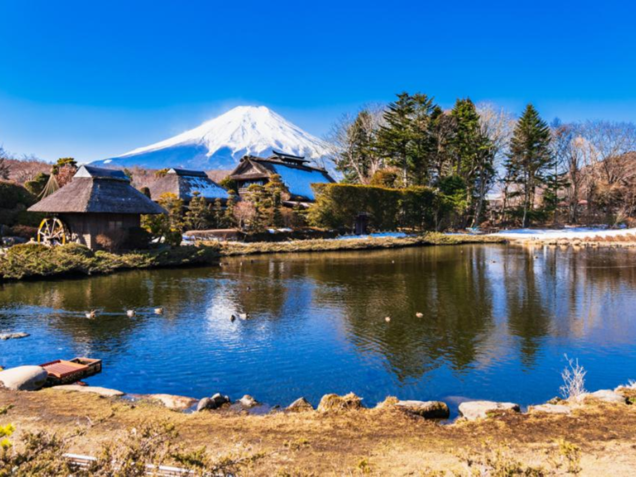 Mount Fuji One-Day Tour with Double Instagram-Worthy Spots｜Arakurayama Sengen Park, Oshino Hakkai, Kawaguchiko Oishi Park 2